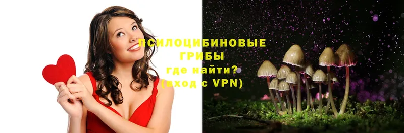 Псилоцибиновые грибы Magic Shrooms  купить   Чишмы 